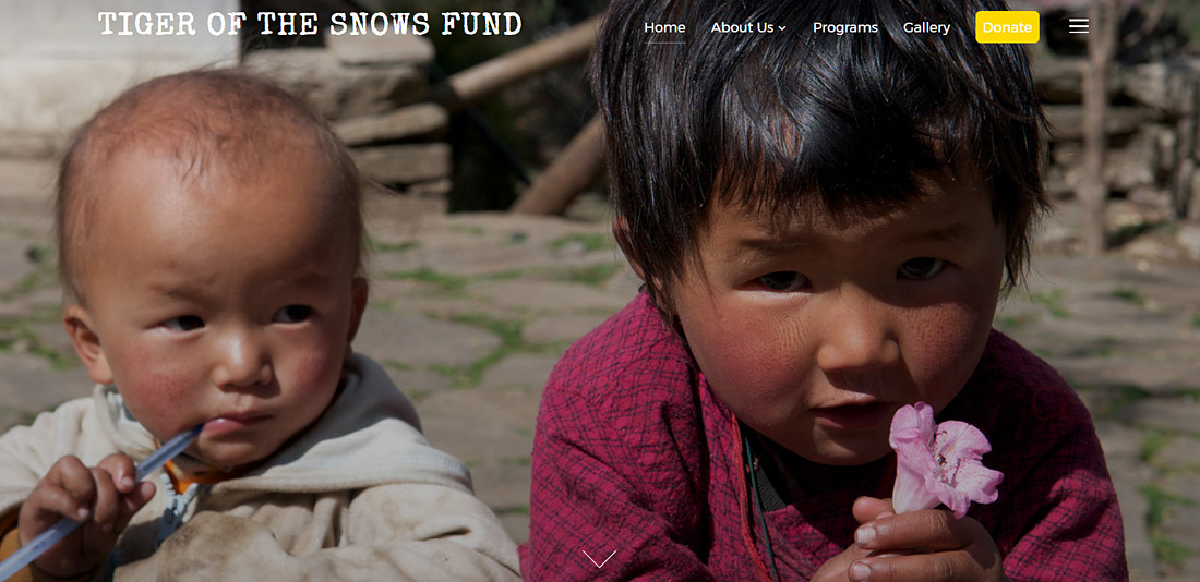 Tiger of the Snows Fund